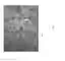 Fig. 05 - Method for continuous synthesis of metal oxide powders