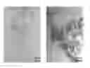 Fig. 01 - Titanium dioxide nanoparticle, titanate, lithium titanate nanoparticle, and preparation methods thereof