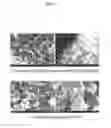 Fig. 04 - Titanium dioxide nanoparticle, titanate, lithium titanate nanoparticle, and preparation methods thereof