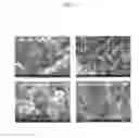 Fig. 05 - Titanium dioxide nanoparticle, titanate, lithium titanate nanoparticle, and preparation methods thereof