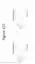 Fig. 158 - Activation of bioluminescence by structural complementation