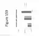 Fig. 160 - Activation of bioluminescence by structural complementation