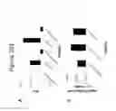 Fig. 205 - Activation of bioluminescence by structural complementation