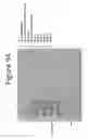 Fig. 95 - Activation of bioluminescence by structural complementation
