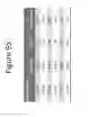 Fig. 96 - Activation of bioluminescence by structural complementation