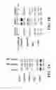 Fig. 03 - PROCASPASE 8-MEDIATED DISEASE TARGETING