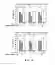 Fig. 09 - PROCASPASE 8-MEDIATED DISEASE TARGETING