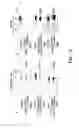 Fig. 17 - PROCASPASE 8-MEDIATED DISEASE TARGETING