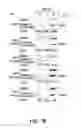 Fig. 18 - PROCASPASE 8-MEDIATED DISEASE TARGETING