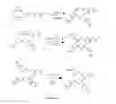 Fig. 06 - SELF-ASSEMBLING MOLECULES THAT ACCUMULATE IN ACIDIC TUMOR MICROENVIRONMENTS