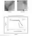 Fig. 07 - SELF-ASSEMBLING MOLECULES THAT ACCUMULATE IN ACIDIC TUMOR MICROENVIRONMENTS