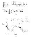 Fig. 02 - OSTEOINDUCTIVE COATINGS FOR DENTAL IMPLANTS