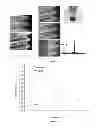 Fig. 05 - OSTEOINDUCTIVE COATINGS FOR DENTAL IMPLANTS