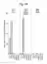 Fig. 09 - METHOD FOR OBTAINING MAB-LIKE CELLS AND USES THEREOF