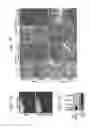 Fig. 30 - METHOD FOR OBTAINING MAB-LIKE CELLS AND USES THEREOF
