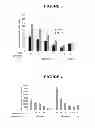 Fig. 03 - EXTRACELLULAR MATRIX FROM PLURIPOTENT CELLS