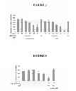 Fig. 04 - EXTRACELLULAR MATRIX FROM PLURIPOTENT CELLS