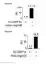Fig. 04 - Methods and compositions for reducing blood glucose