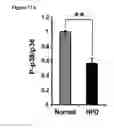 Fig. 24 - Methods and compositions for reducing blood glucose