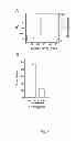 Fig. 05 - Peptide compounds for inhibition of platelet aggregation