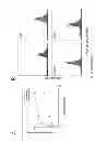 Fig. 12 - Peptide compounds for inhibition of platelet aggregation
