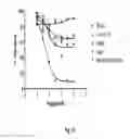 Fig. 27 - Binding molecules specific for HER3 and uses thereof