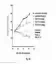 Fig. 44 - Binding molecules specific for HER3 and uses thereof