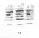 Fig. 62 - Binding molecules specific for HER3 and uses thereof