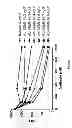 Fig. 11 - Methods of Generating Bioactive Peptide-bearing Antibodies and Compositions Comprising the Same