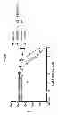 Fig. 13 - Methods of Generating Bioactive Peptide-bearing Antibodies and Compositions Comprising the Same