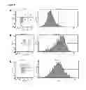 Fig. 13 - BINDING AGENTS TO INTRACELLULAR TARGET MOLECULES