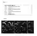 Fig. 15 - BINDING AGENTS TO INTRACELLULAR TARGET MOLECULES