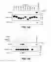 Fig. 02 - KLOTHO BETA