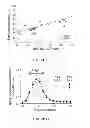 Fig. 10 - Diagnosing and treating IGA nephropathy