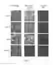 Fig. 02 - COMPOSITIONS AND METHODS FOR THE THERAPY AND DIAGNOSIS OF INFLUENZA