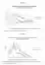 Fig. 100 - COMPOSITIONS AND METHODS FOR THE THERAPY AND DIAGNOSIS OF INFLUENZA