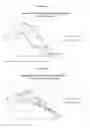 Fig. 103 - COMPOSITIONS AND METHODS FOR THE THERAPY AND DIAGNOSIS OF INFLUENZA
