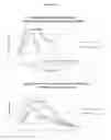 Fig. 98 - COMPOSITIONS AND METHODS FOR THE THERAPY AND DIAGNOSIS OF INFLUENZA