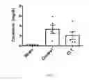 Fig. 07 - THERAPEUTIC CD47 ANTIBODIES