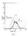 Fig. 04 - Oxidized cardiolipin as a pro-inflammatory factor