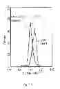 Fig. 07 - Oxidized cardiolipin as a pro-inflammatory factor