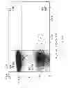 Fig. 19 - Oxidized cardiolipin as a pro-inflammatory factor
