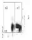 Fig. 22 - Oxidized cardiolipin as a pro-inflammatory factor