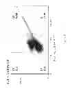 Fig. 23 - Oxidized cardiolipin as a pro-inflammatory factor