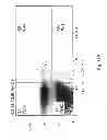 Fig. 24 - Oxidized cardiolipin as a pro-inflammatory factor