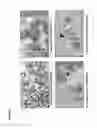 Fig. 16 - Methods for Increasing Efficacy of FOLR1 Cancer Therapy