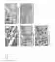 Fig. 17 - Methods for Increasing Efficacy of FOLR1 Cancer Therapy
