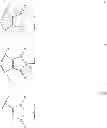 Fig. 14 - Antibody-Drug Conjugates, Compositions and Methods of Use