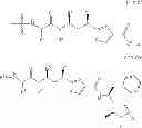 Fig. 19 - Antibody-Drug Conjugates, Compositions and Methods of Use
