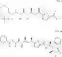 Fig. 500 - Antibody-Drug Conjugates, Compositions and Methods of Use